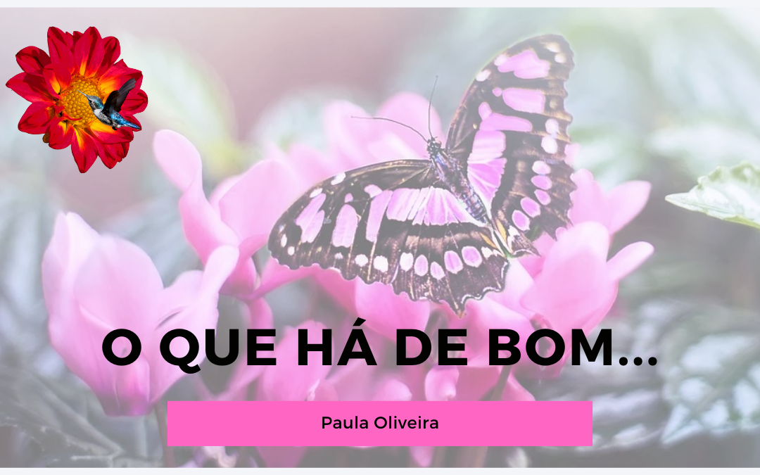 O QUE HÁ DE BOM…
