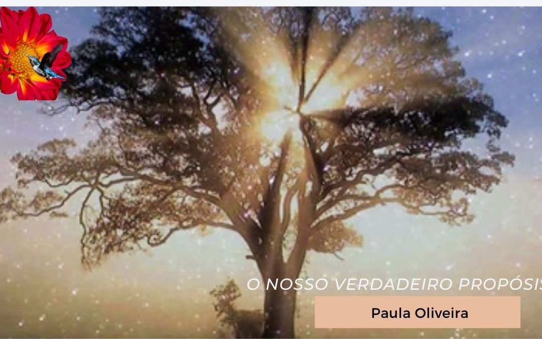 O nosso verdadeiro propósito