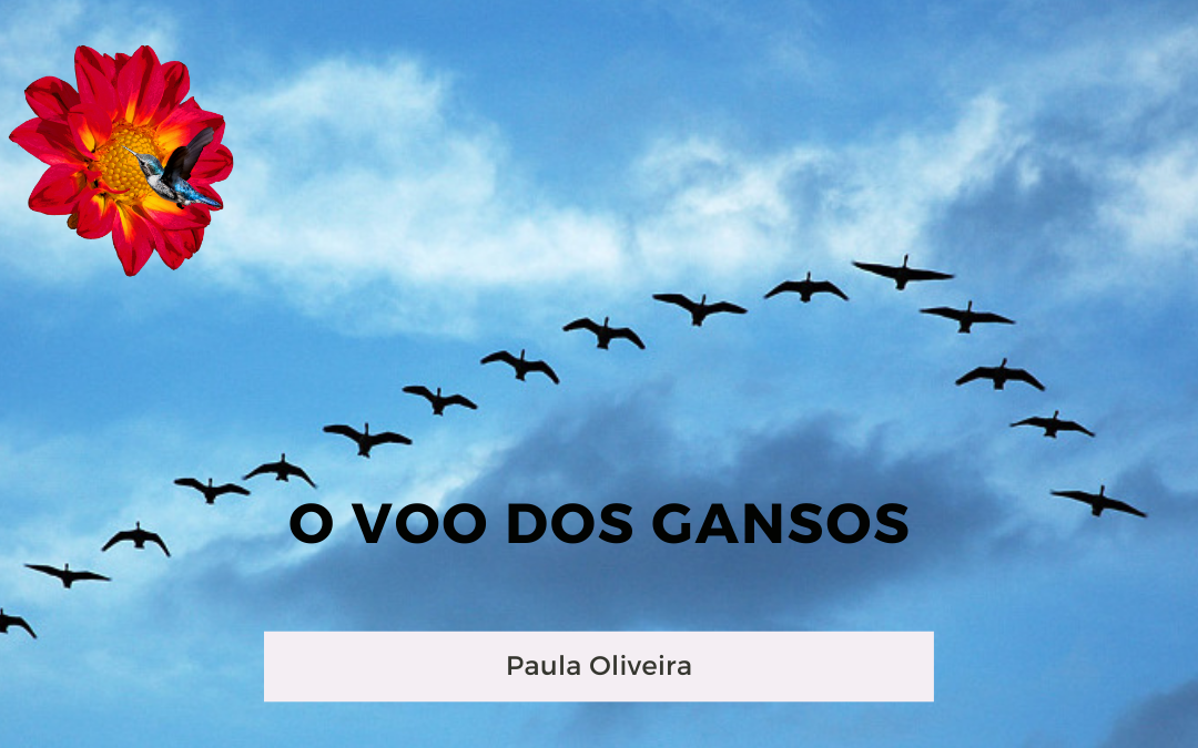 O Voo dos gansos