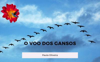 O Voo dos gansos