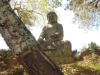 Bacalhoa Buda Eden (69)