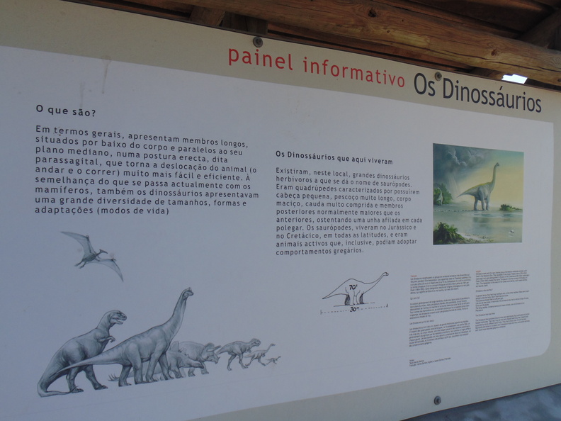 Pegadas dos Dinossauros (24).JPG