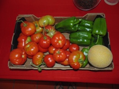 Tomates, Pimentos e Meloa