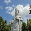 Bacalhôa Buddha Eden (20)