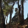 Bacalhôa Buddha Eden (62)