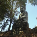 Bacalhôa Buddha Eden (63)