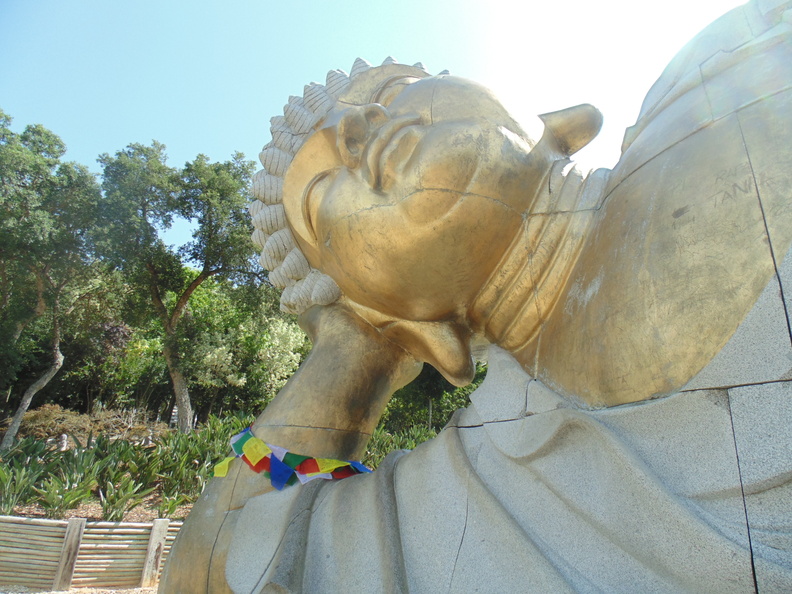 Bacalhôa Buddha Eden (71).JPG