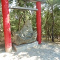 Bacalhôa Buddha Eden (73)