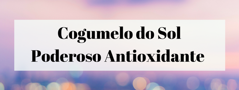  Cogumelo do Sol